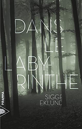 DANS LE LABYRINTHE
