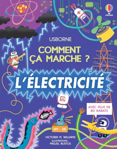 ÉLECTRICITÉ (L')