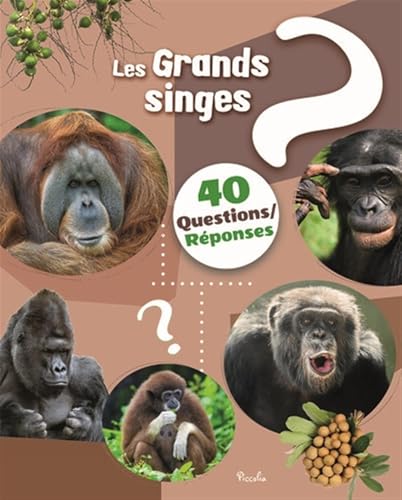 GRANDS SINGES (LES)
