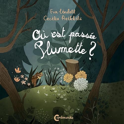 OÙ EST PASSÉE PLUMETTE ?