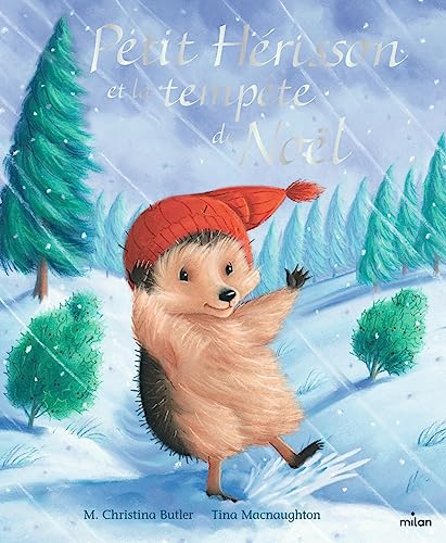 PETIT HÉRISSON ET LA TEMPÊTE DE NOËL