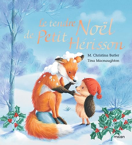 TENDRE NOËL DE PETIT HÉRISSON TOUT-CARTON (LE)